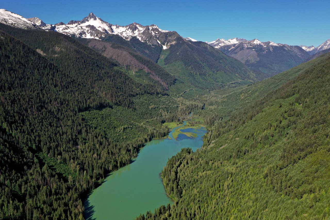 Clear cuts in the Kwoiek Valley