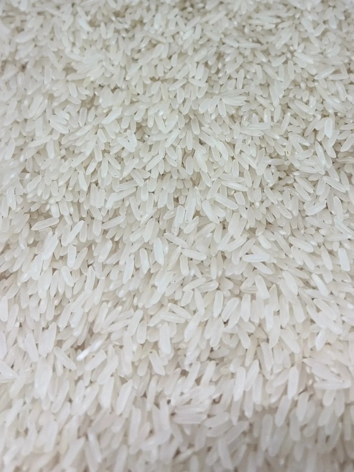 20486BC9-48EA-4466-B398-5EE814CFD222.jpg