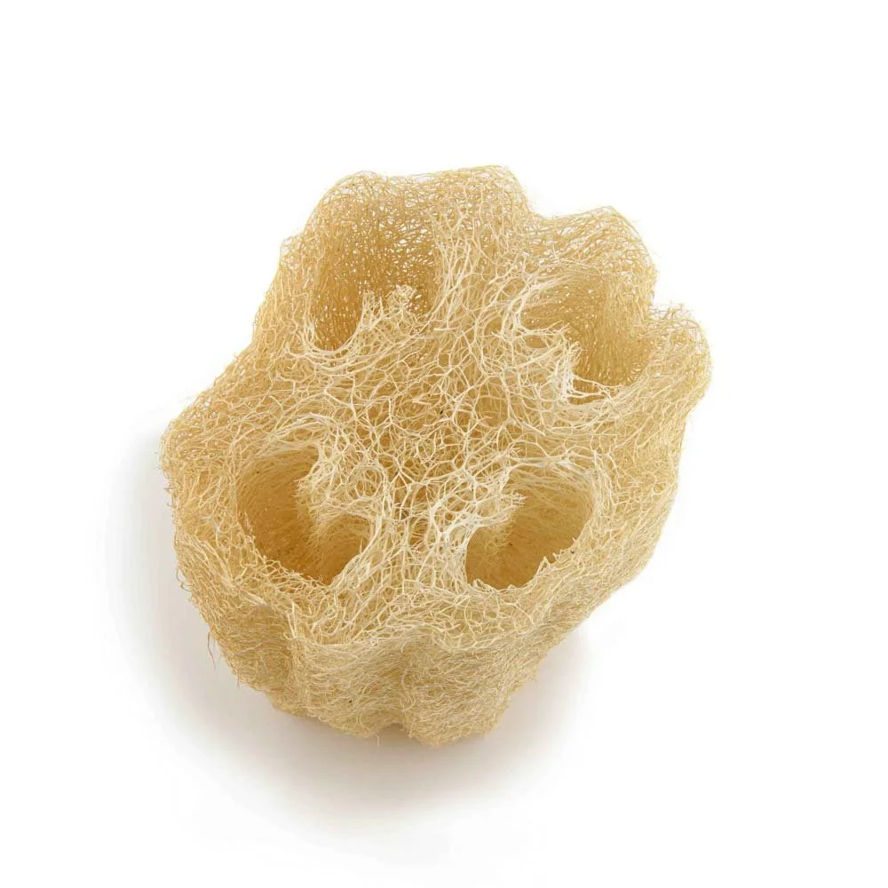 EcoMax Loofah Mitt — The Hub Bulk & Bare