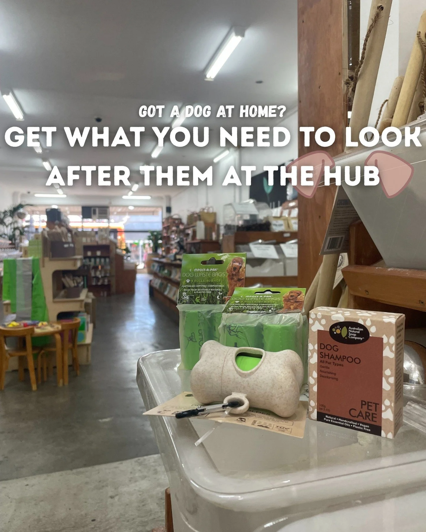 Got a Little Fury Friend at home? Look after them with our environmentally friendly products: Doggy Bags, Doggy Bag Holders and Doggy Shampoo!

#thehubbulkandbare #thehubfairfield #melbournebulkfoodstore #bulkfoodstore