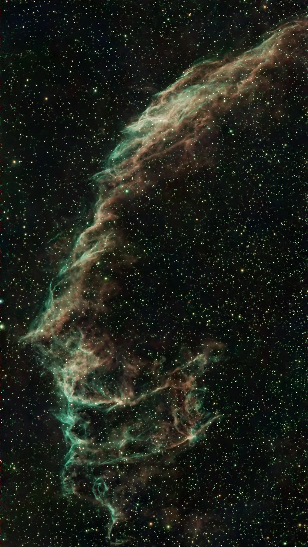 A wide view of a colorful nebula in deep space with numerous stars surrounding it.