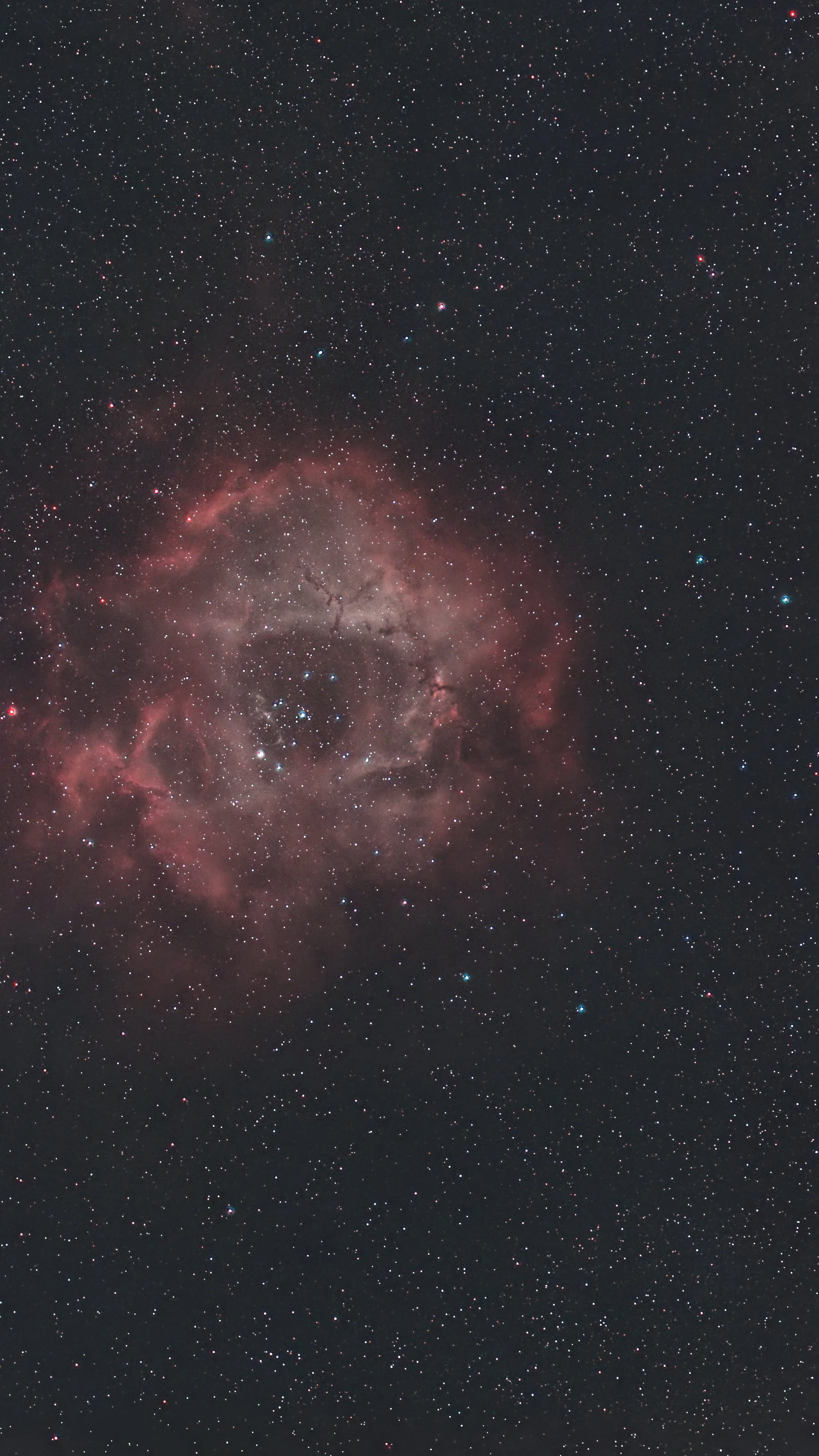 A detailed image of a star-filled night sky with a large, bright nebula.