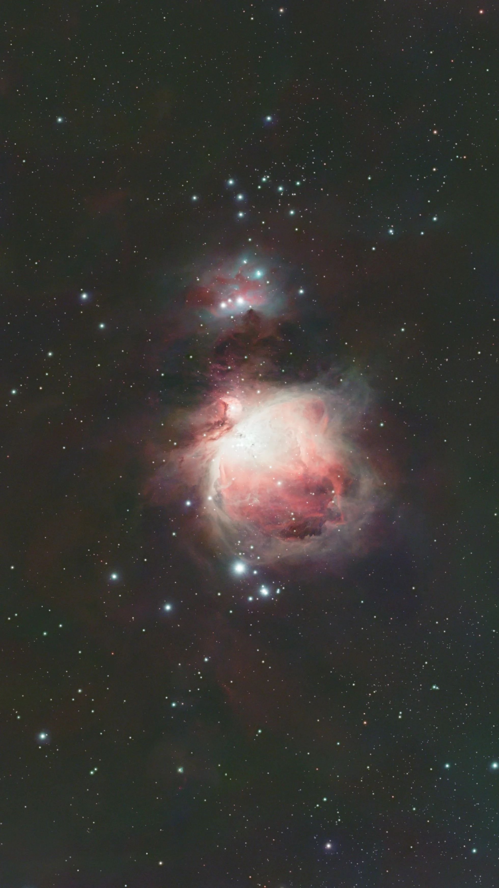Orion Nebula S50
