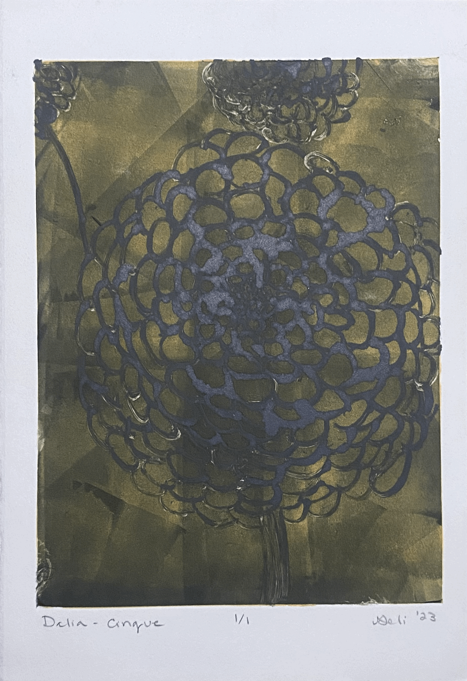 Dalia - Cinque (Dahlia - Five)