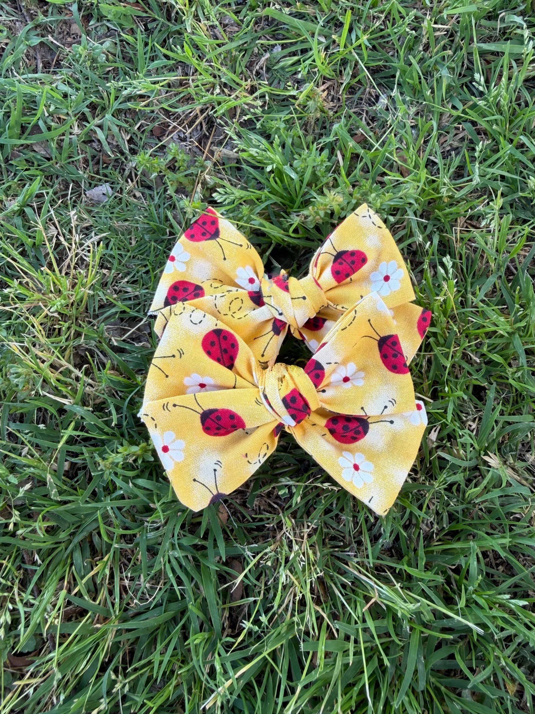 lady bug tied piggies