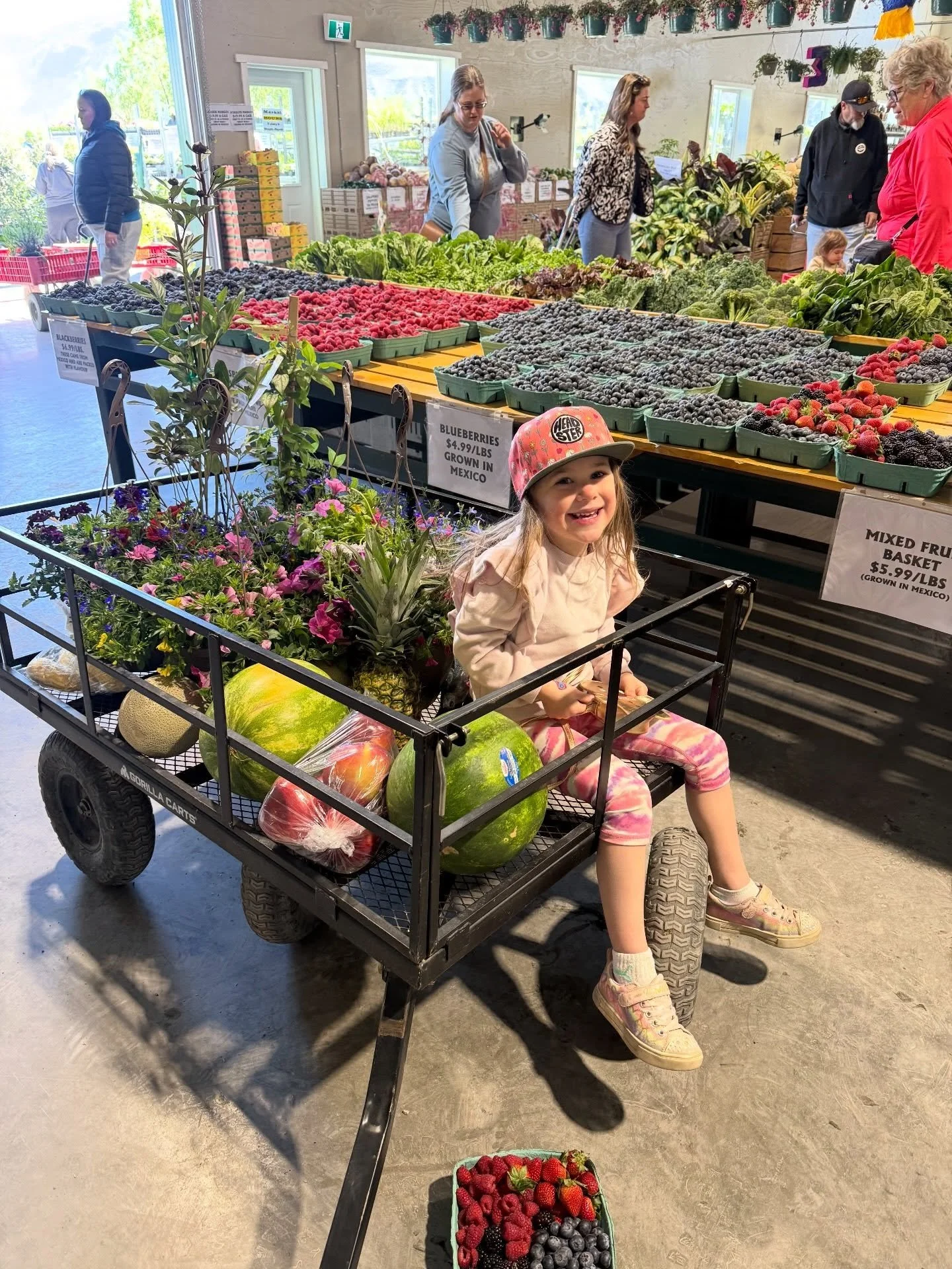 Our ray of sunshine in human form 💛☀️