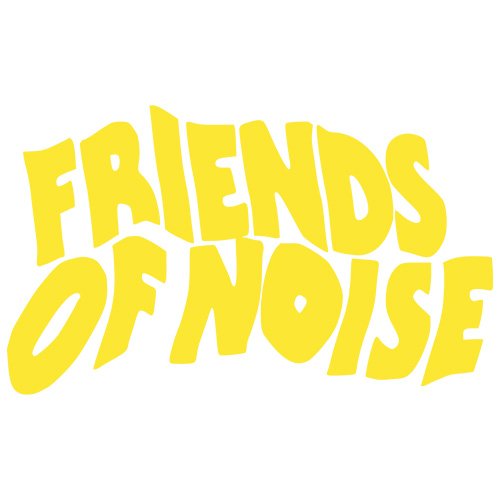 Friends of Noise.jpg