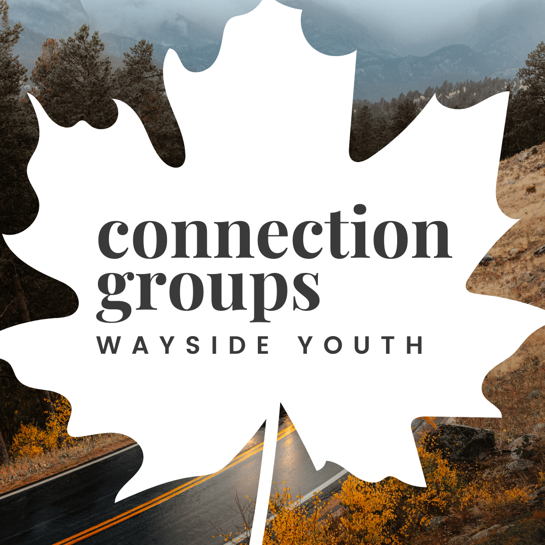 Youth Connection Groups | Road Trip