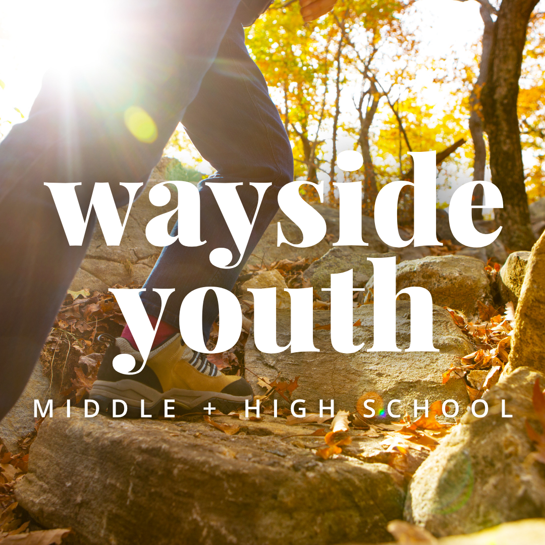 Hike | Wayside Youth