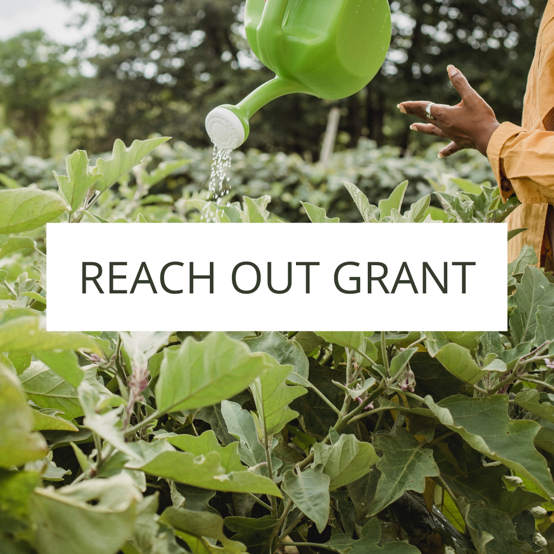 Reach Out Grant.png