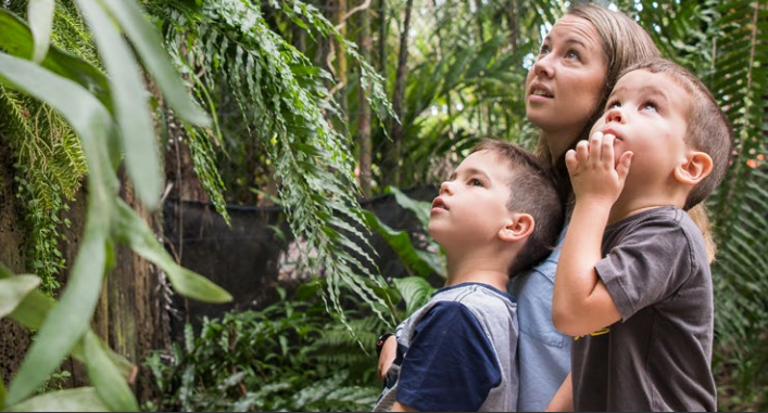 Mackay Regional Council Community Development Strategy - 2018 to 2021