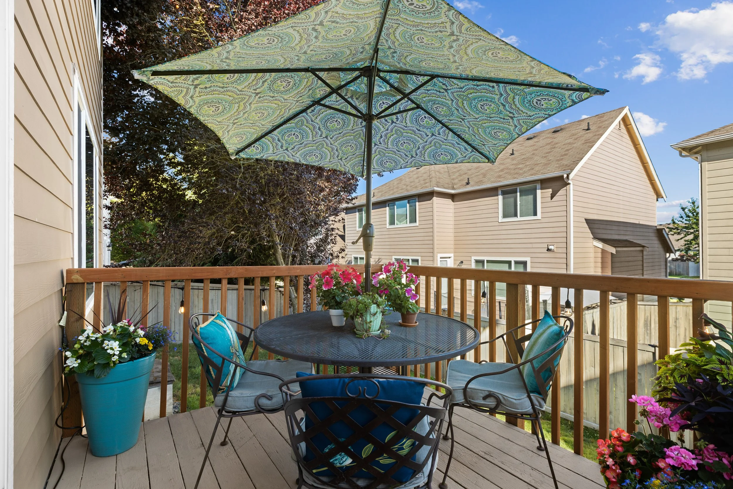 15backyard2.JPG