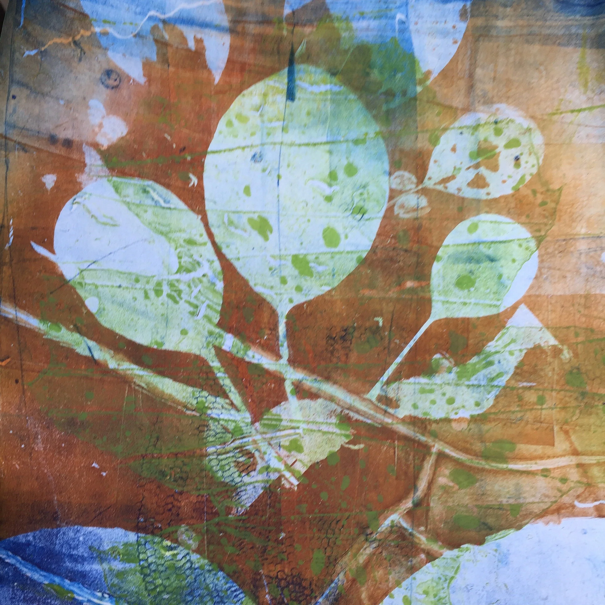 untitled - 2017 - gelatin print