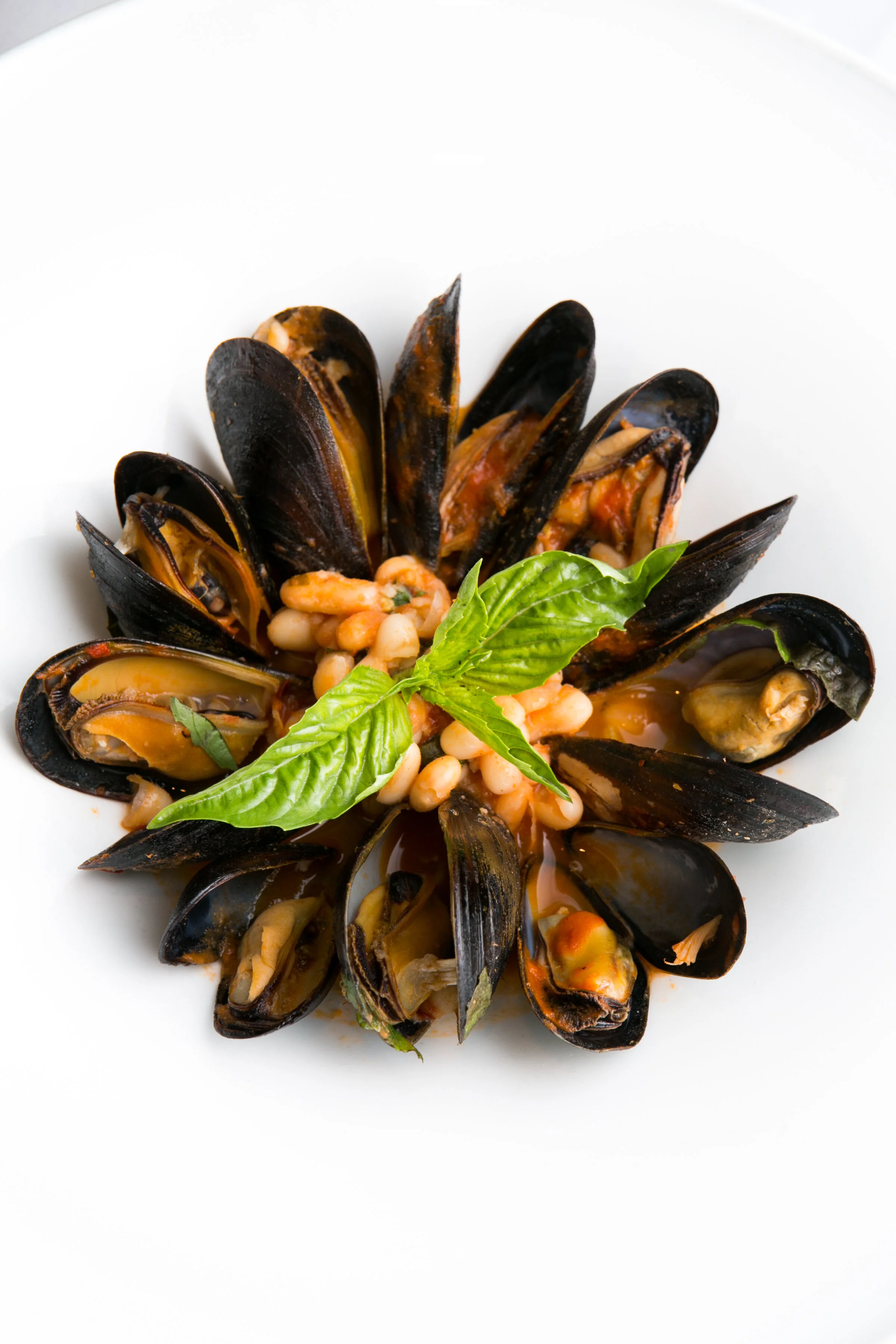 A white plate of cooked mussels garnished with fresh basil leaves and white beans in a sauce.