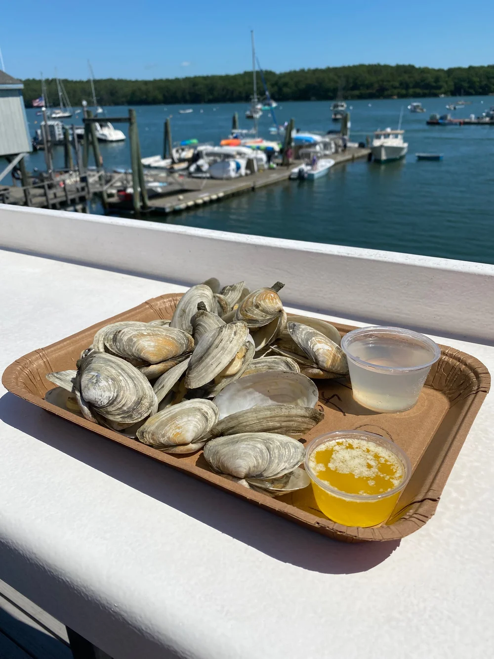 Harraseeket lunch and lobster steamers with butter on a tray