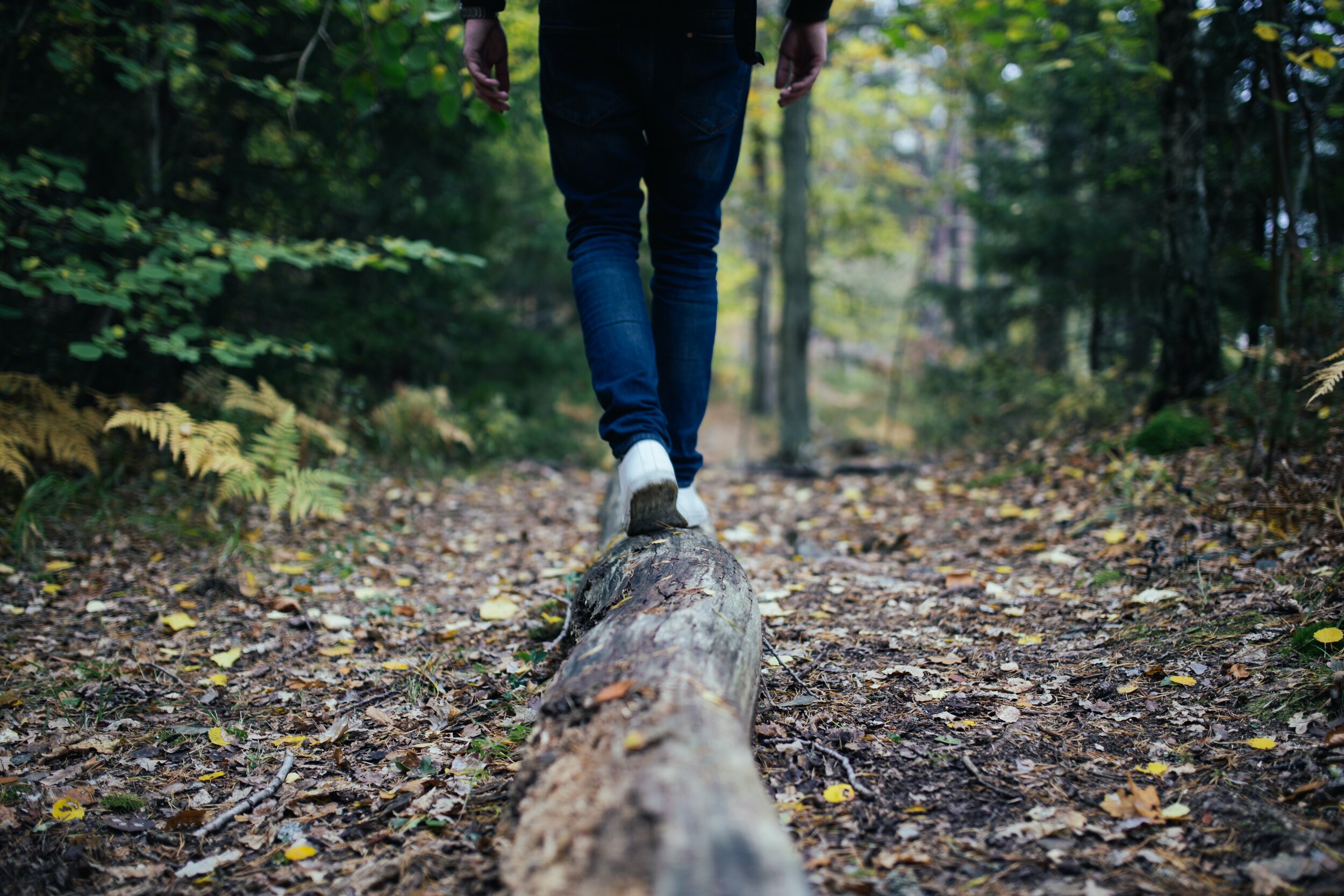 Main walking on log in the woods