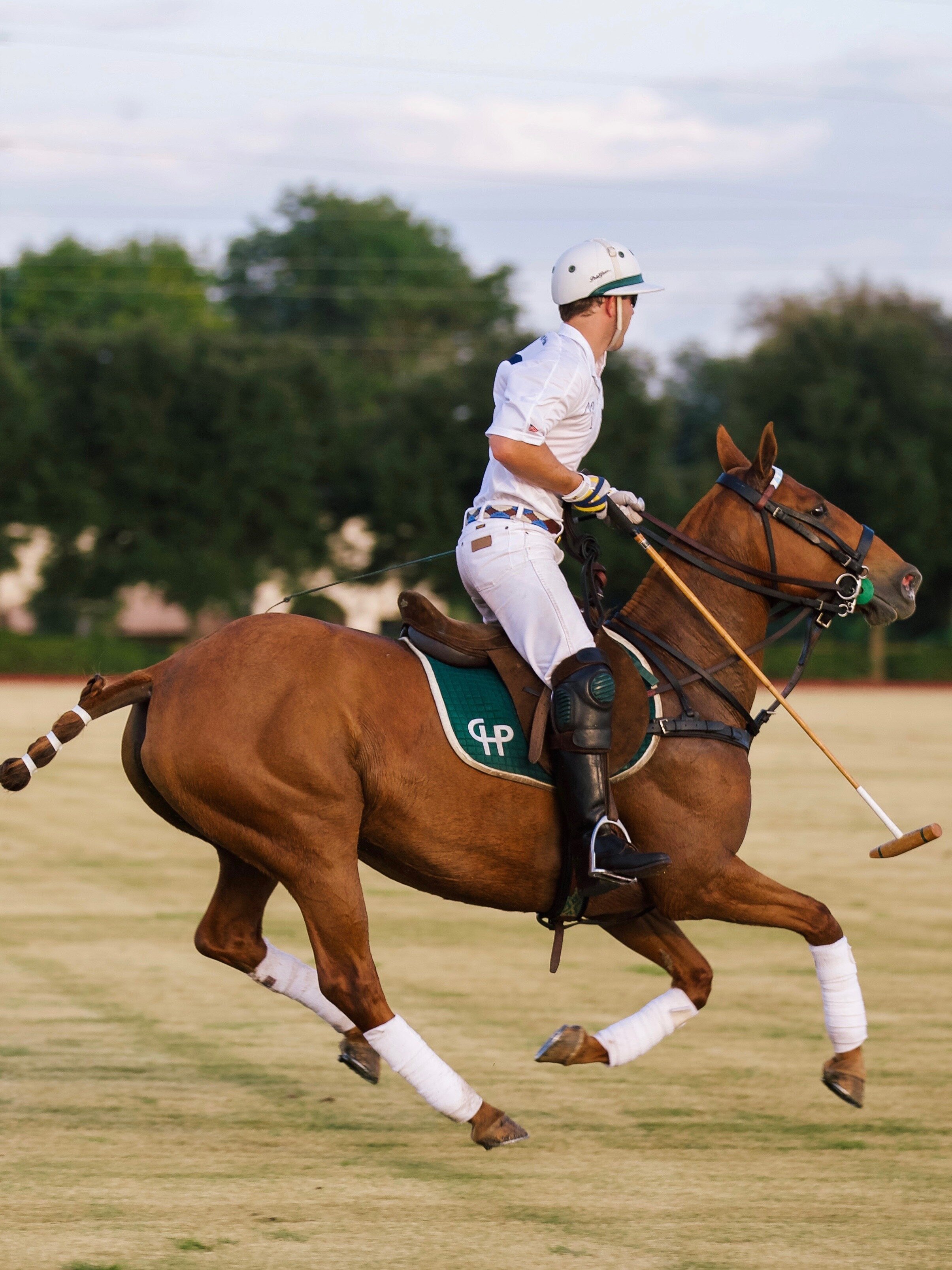 POINT CLEAR POLO OCTOBER-49.jpg