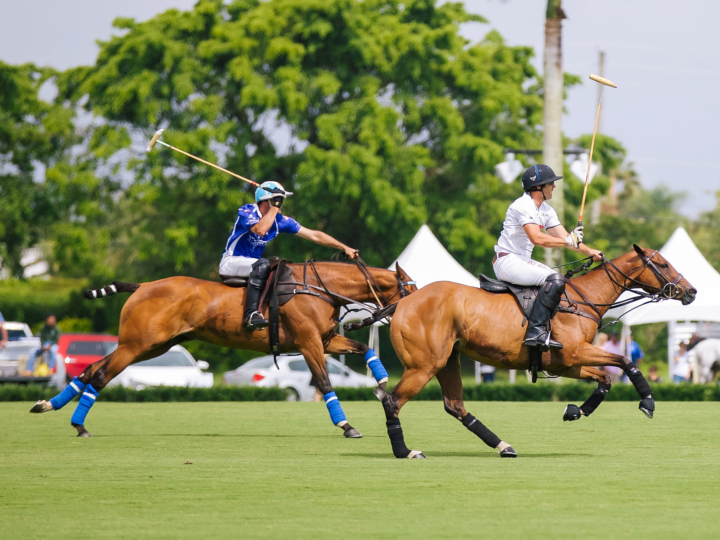 LCB STYLE US OPEN POLO2.jpg