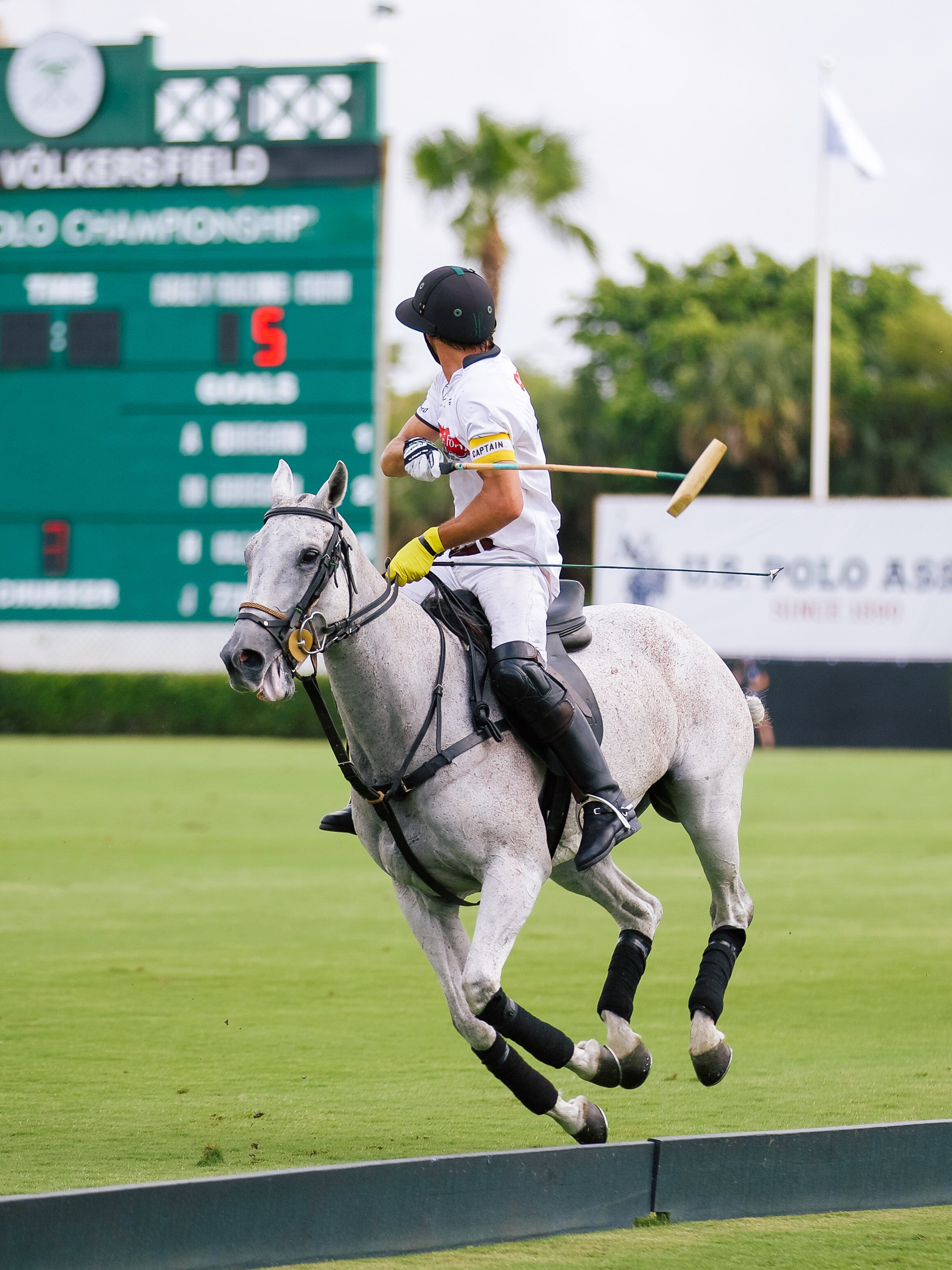 LCB STYLE US OPEN POLO7.jpg