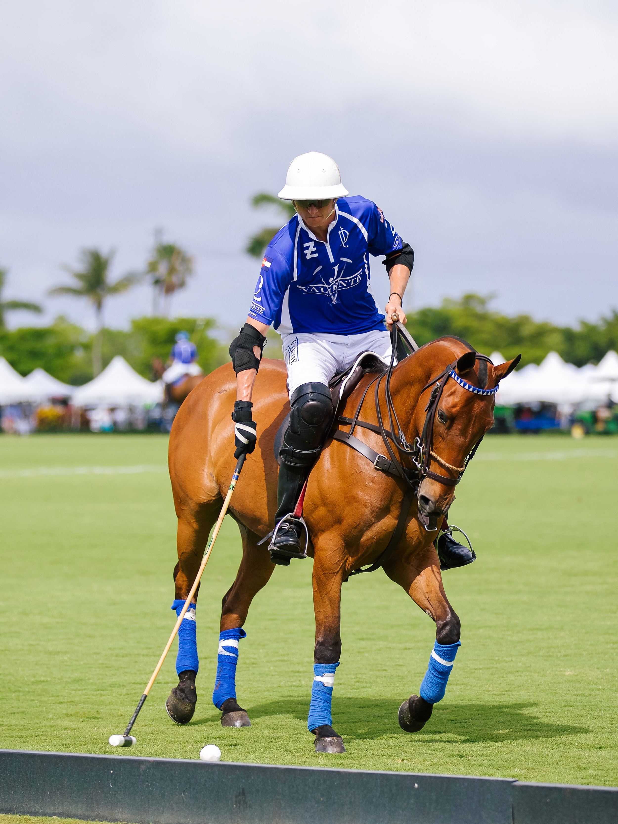 LCB STYLE US OPEN POLO4.jpg