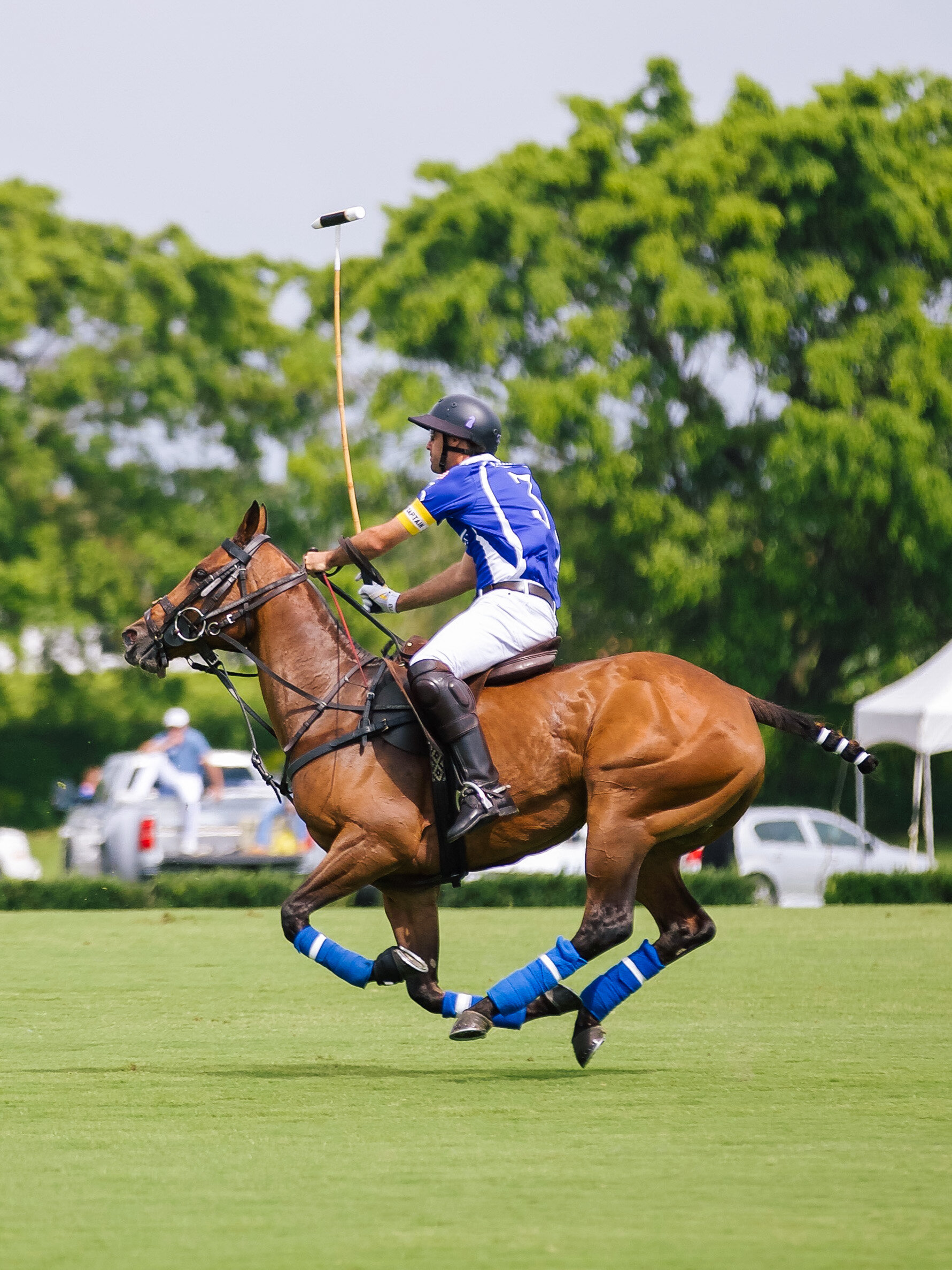 LCB STYLE US OPEN POLO1.jpg