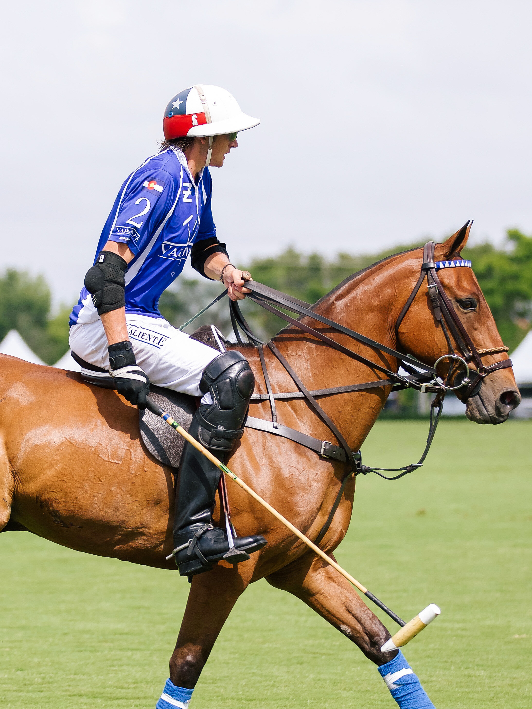 LCB STYLE US OPEN POLO5.jpg