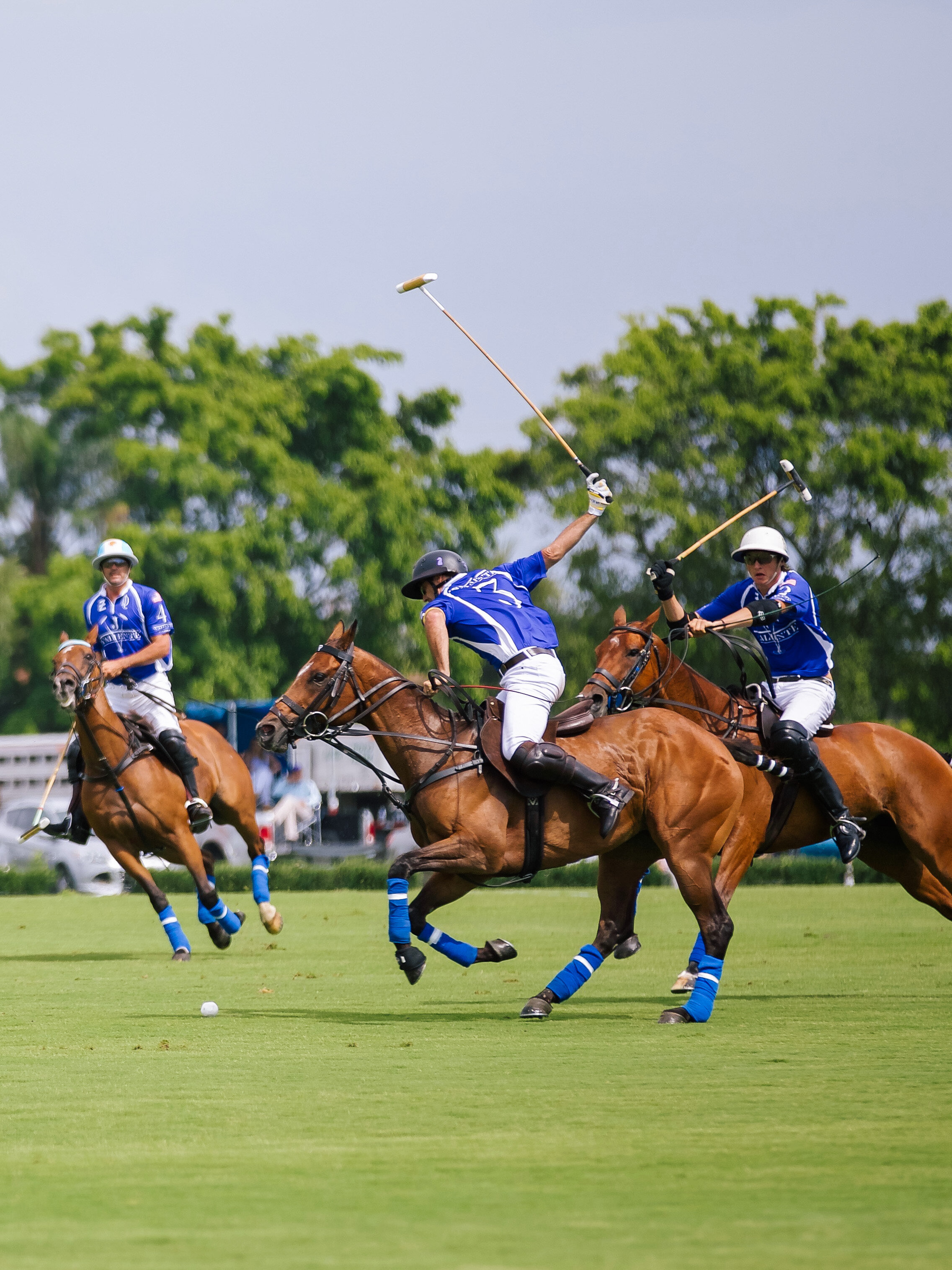 LCB STYLE US OPEN POLO10.jpg