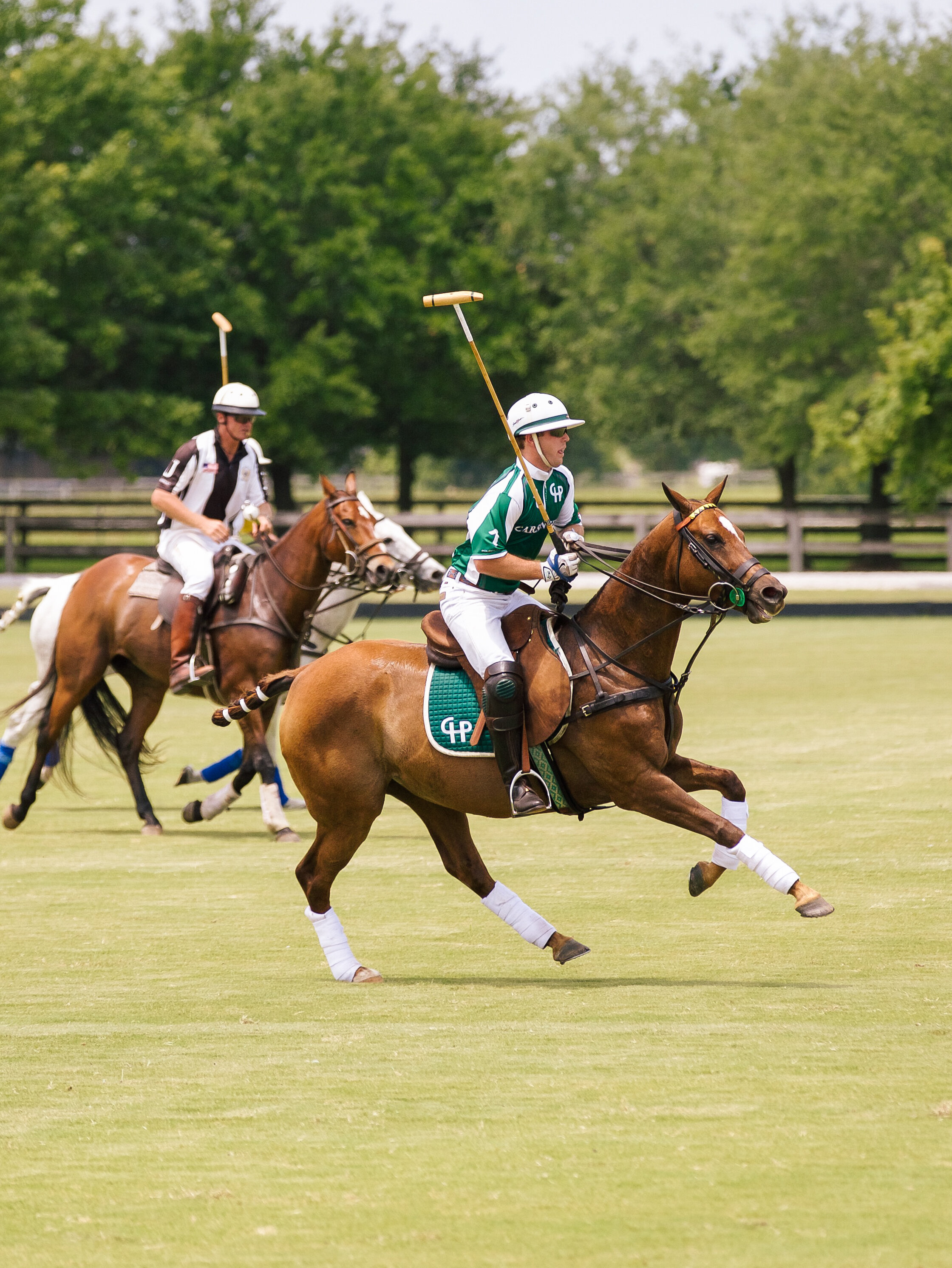 polo for paws (57 of 141) copy.jpg