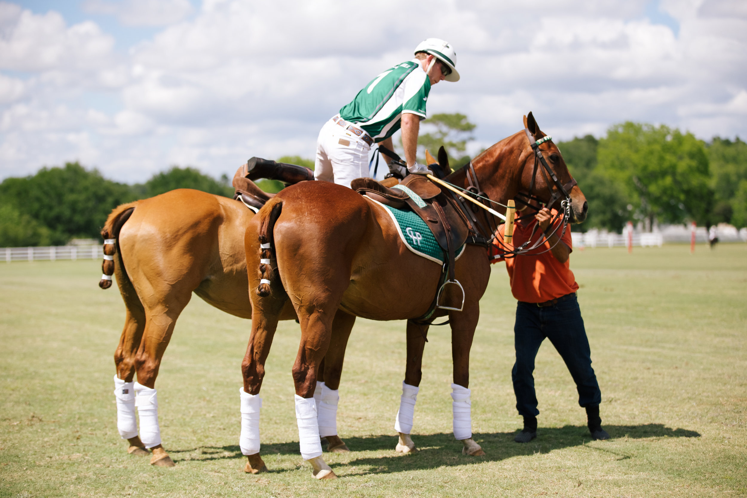 polo (25 of 120) copy.jpg