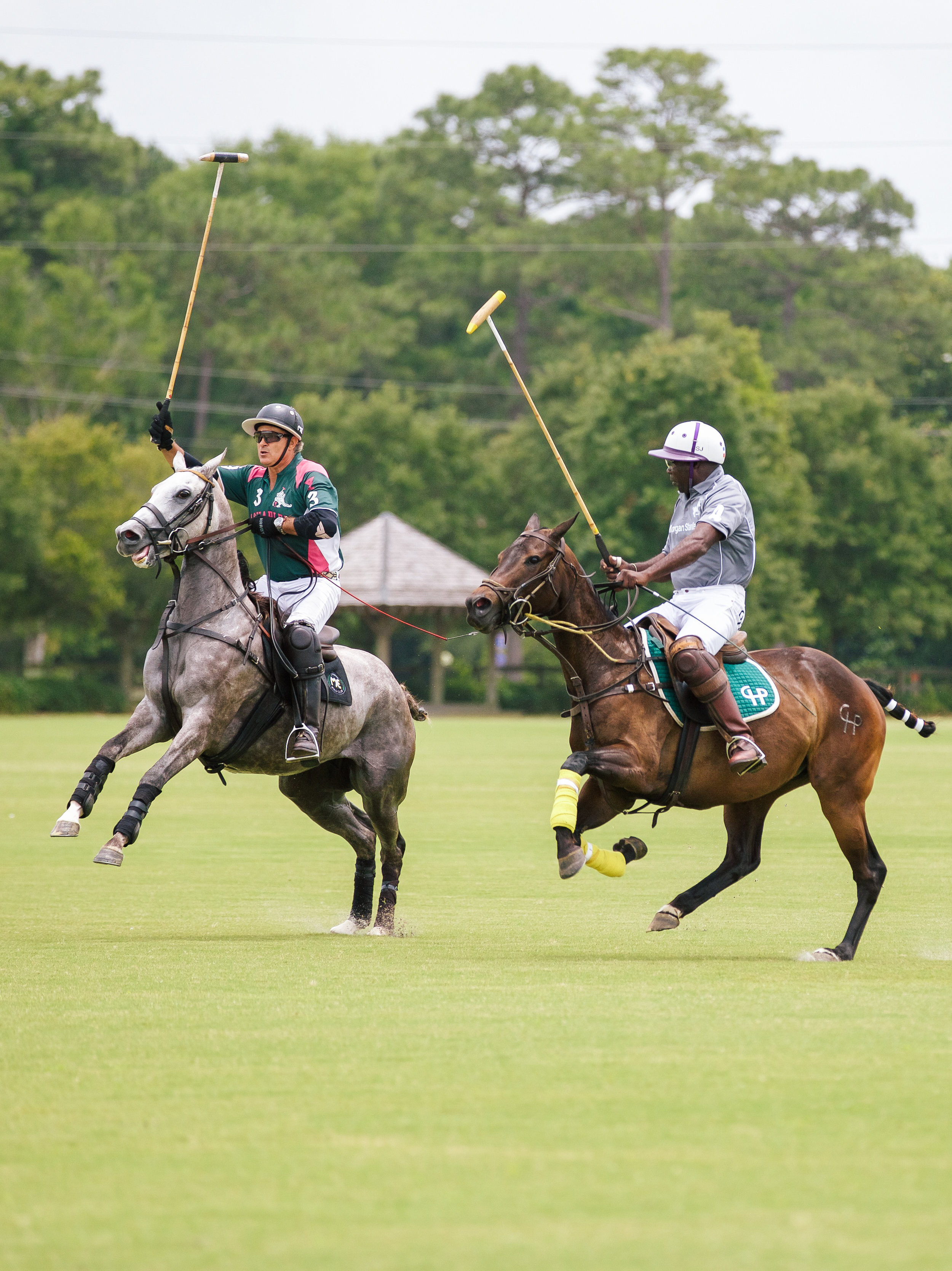 polo for paws (105 of 141) copy.jpg