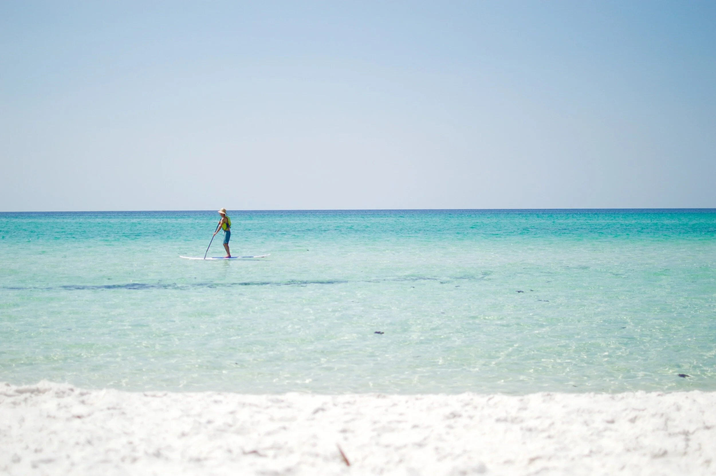 Latest and Greatest {Vol. 5} 