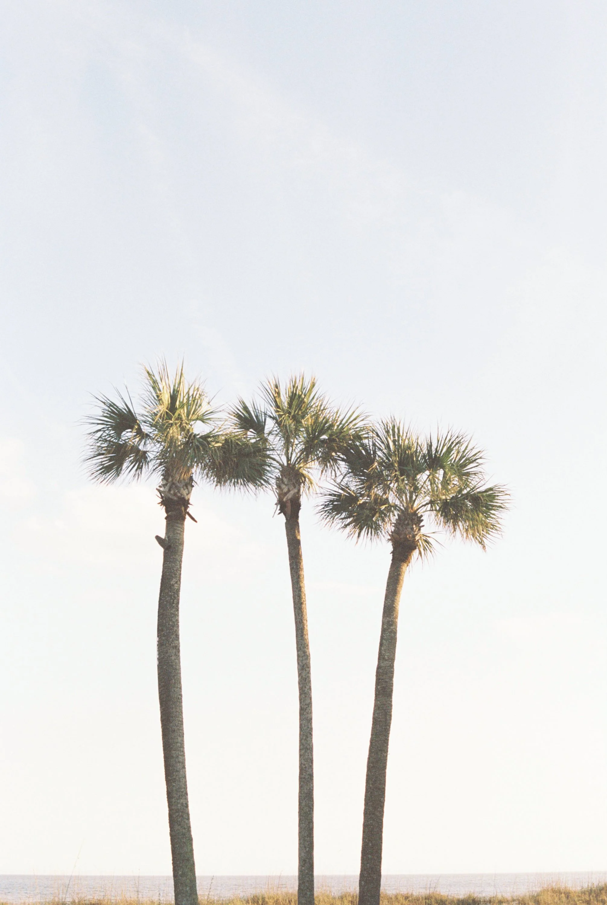 LCB STYLE PHOTO-3 7.JPG