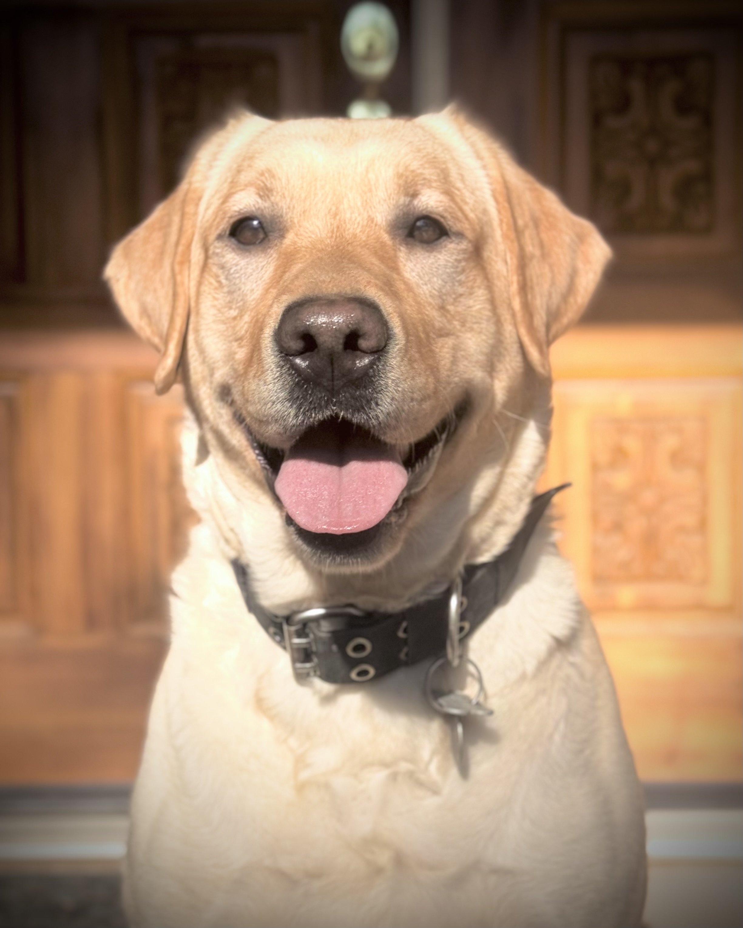 Bailey (Dam)