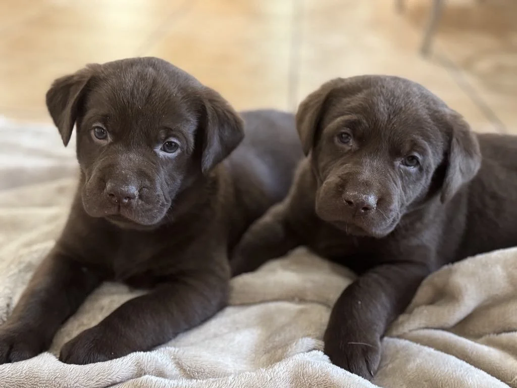 e32ea7ee-88e9-4e97-a491-e561ae1f3ec2.jfif