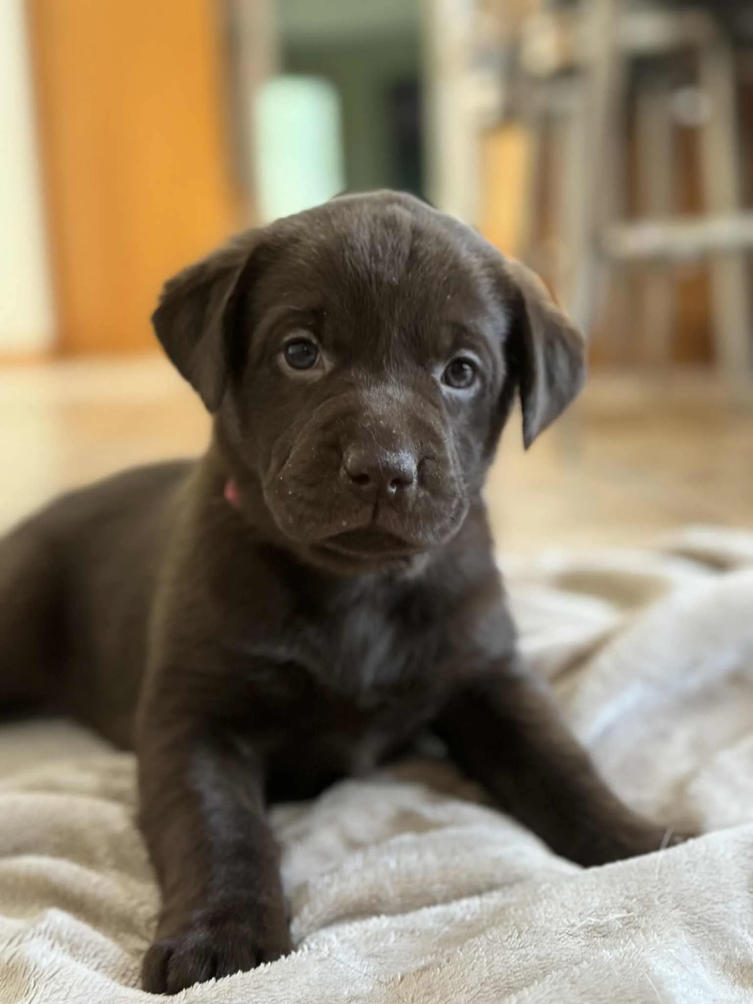 99f18fa4-5283-4660-b7eb-4c1c2eb5b421.jfif