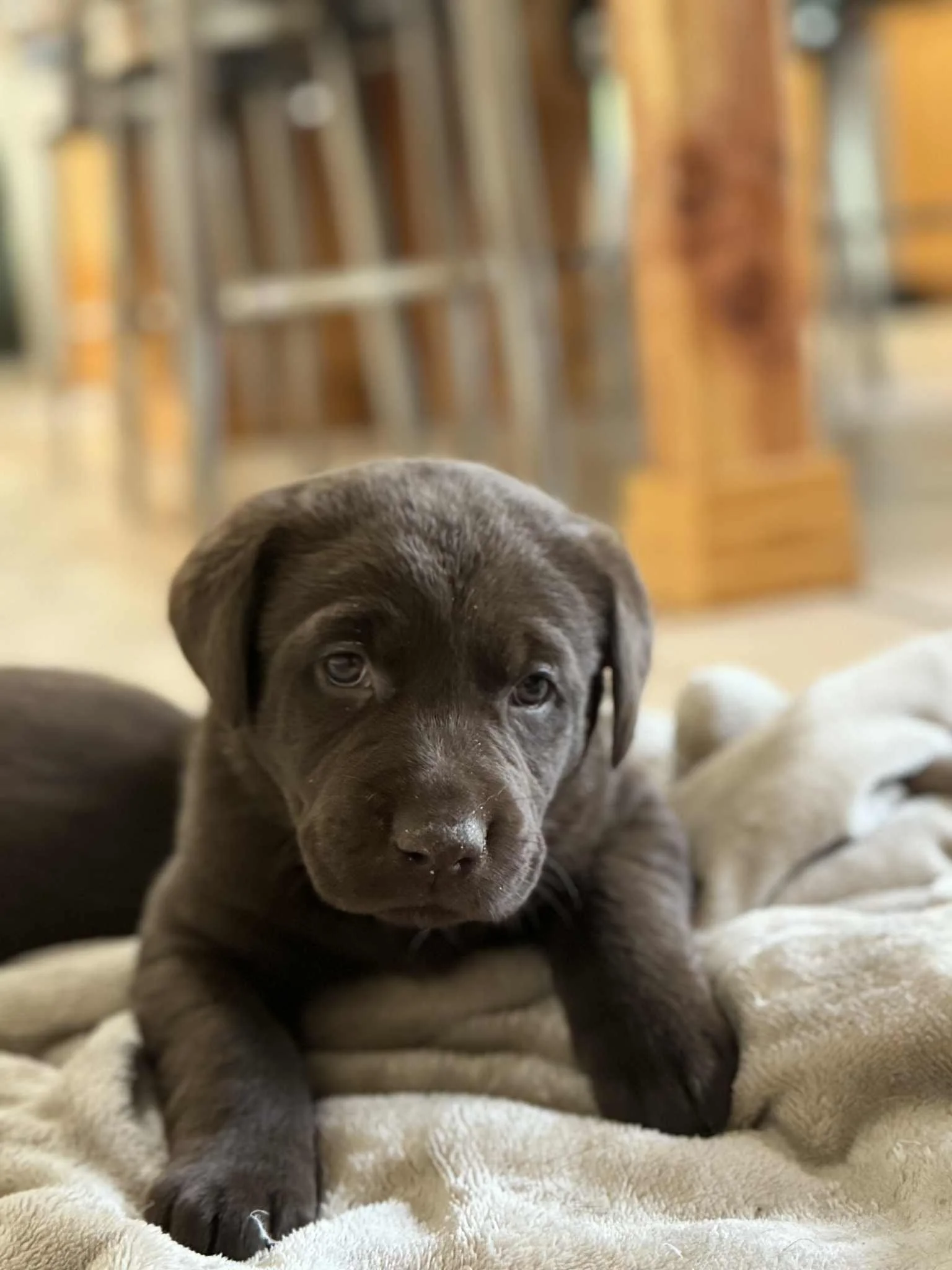 c01c56d0-2af2-49ea-a525-def013c8c037.jfif