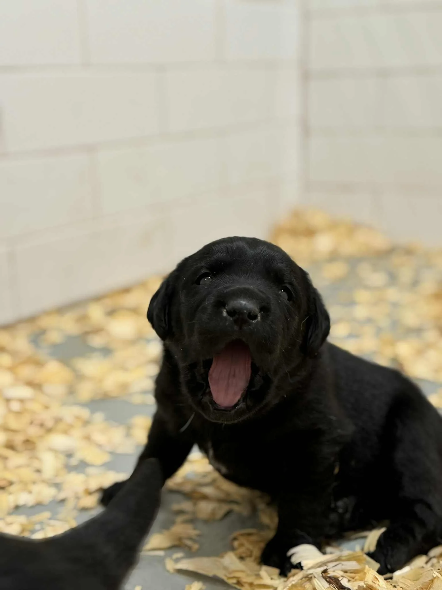 aef4d164-0c96-41a0-ba03-fcc8d8c576f5.jfif