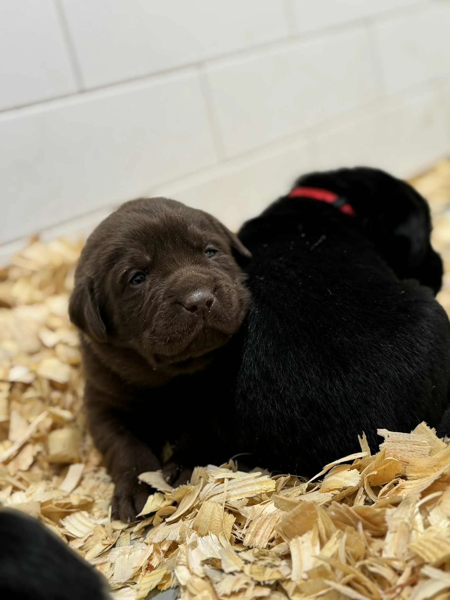 fc055a3e-afe4-4a61-8b4a-beb21c3b272e.jfif