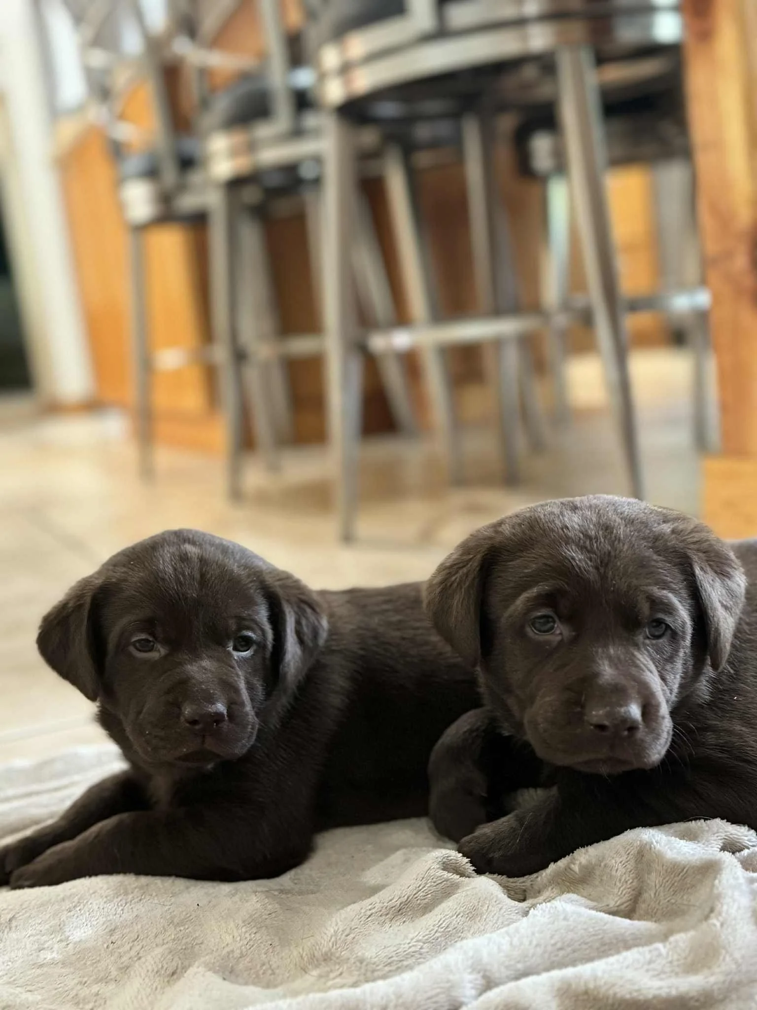 712cd521-0792-424c-a92c-1b1ced7a97df.jfif