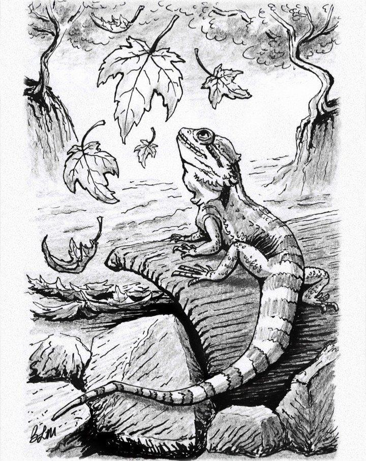 Nexus was jealous of Tetra's portrait for Halloween (see last post), so I made a portrait of our beardie admiring the falling leaves. Though, now I'm thinking he would attempt to eat the leaves instead. 🦎
Really like how this one came out! Tried som