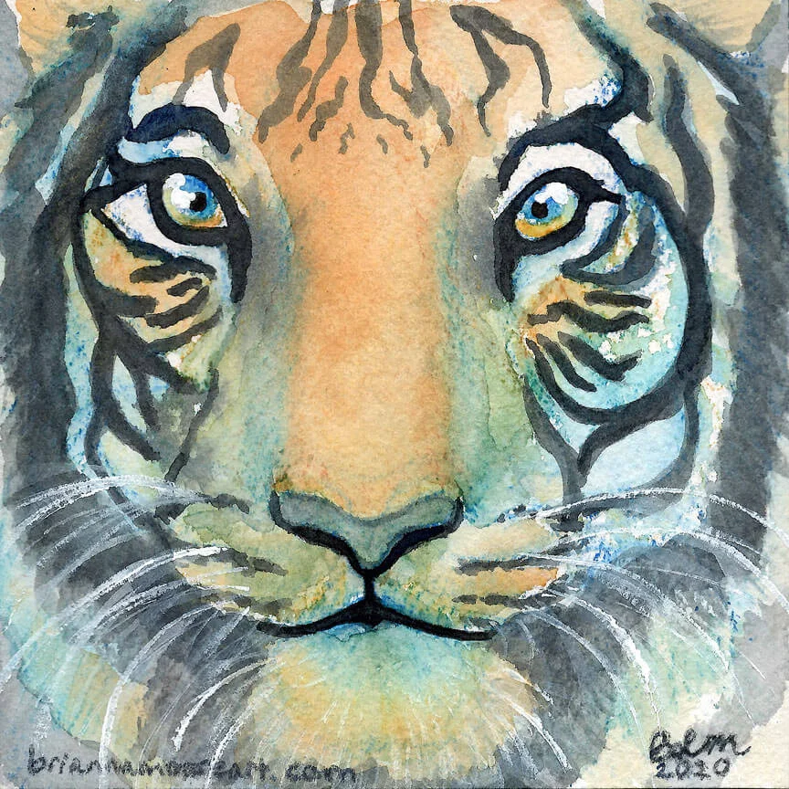 Tiger Gaze, mixed media watercolor
