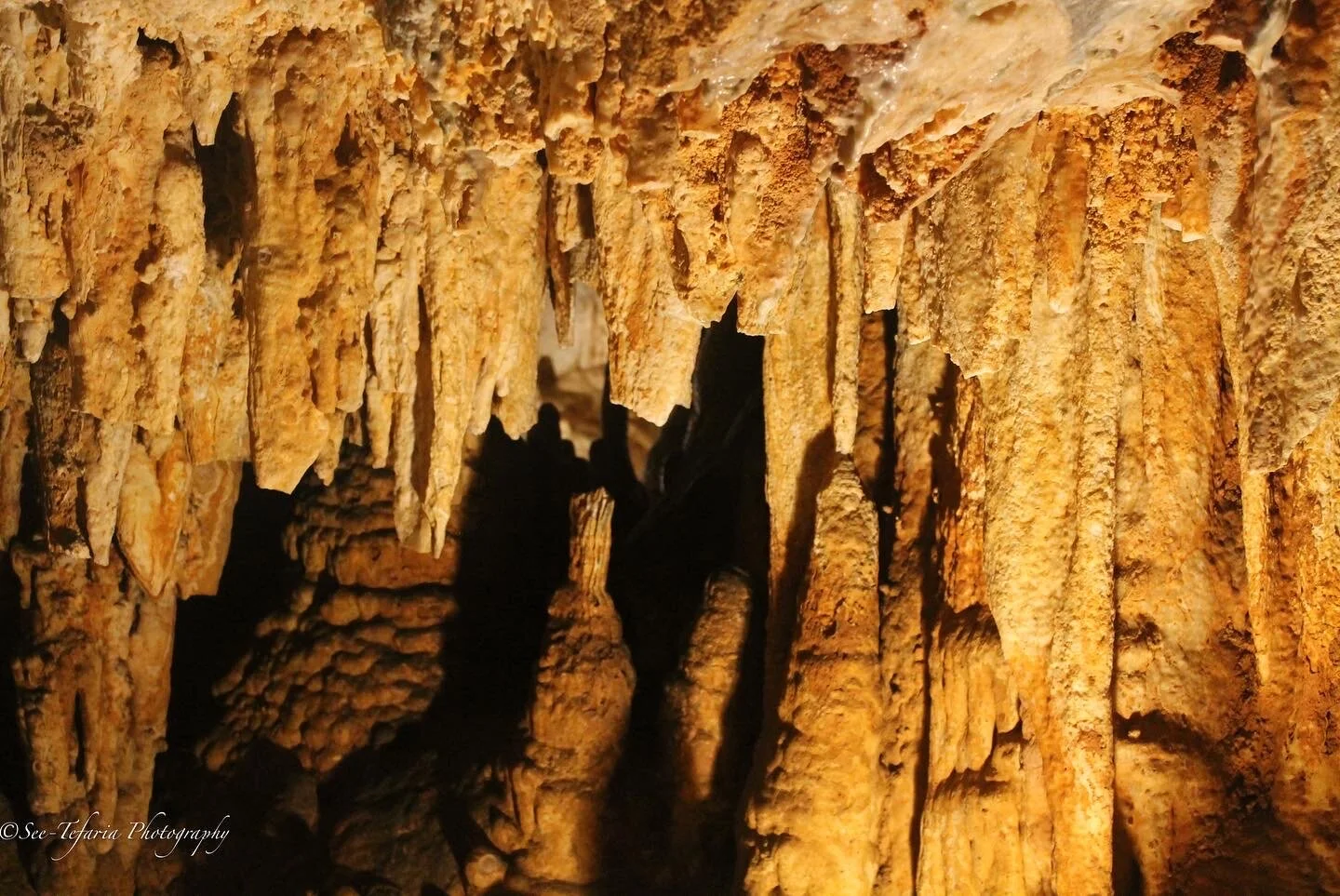 Luray Caverns Luray, VA