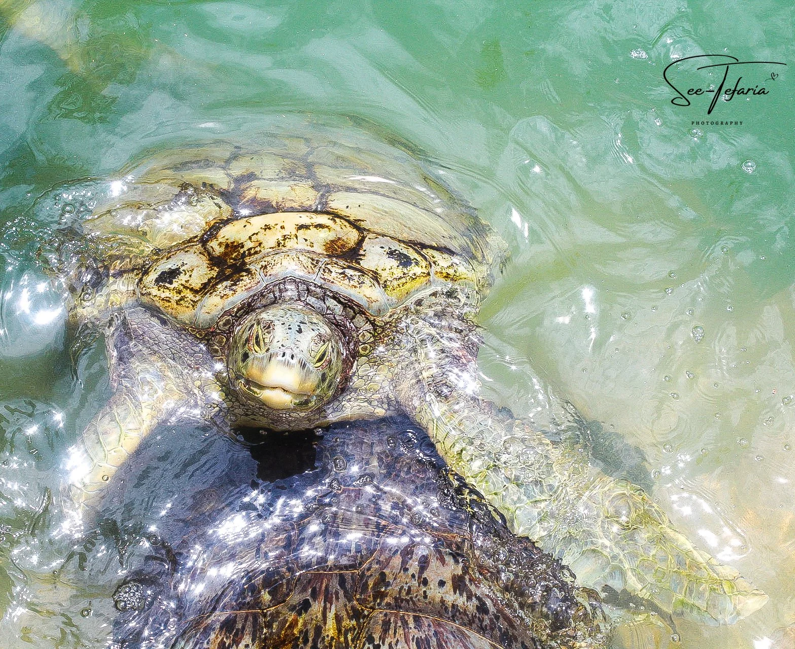 Grand Cayman Islands