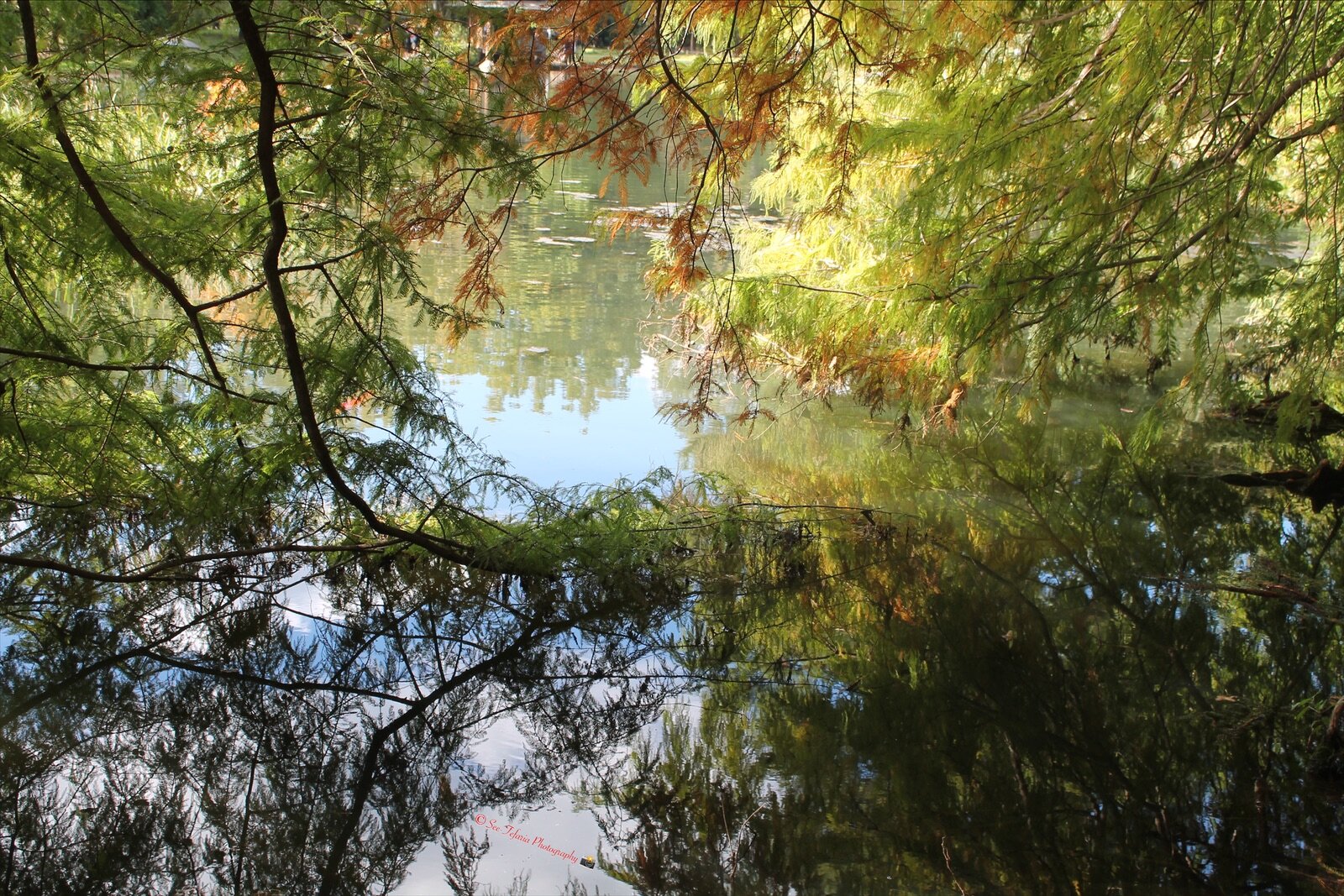 Maymount Park Richmond, VA