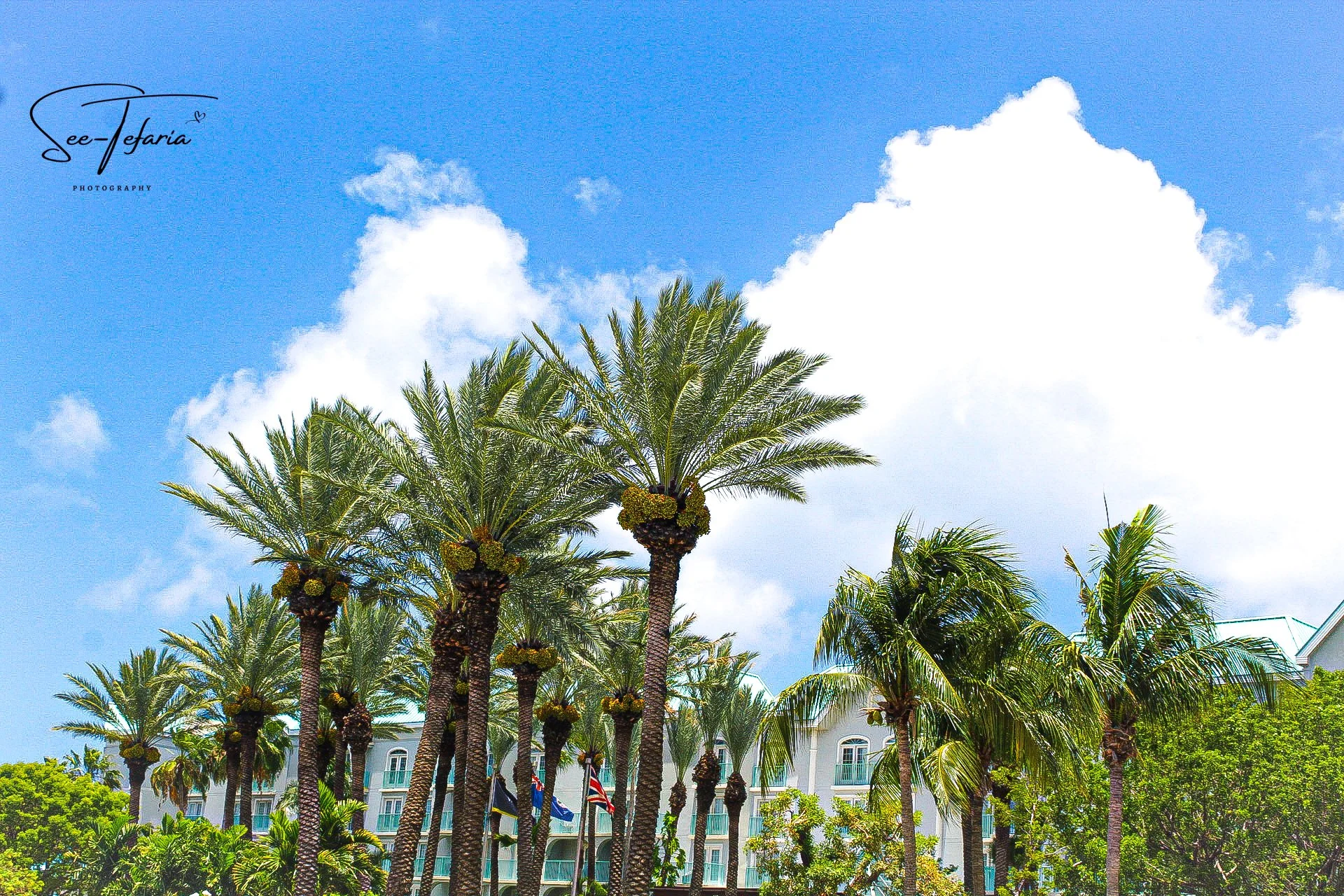 Grand Cayman Islands