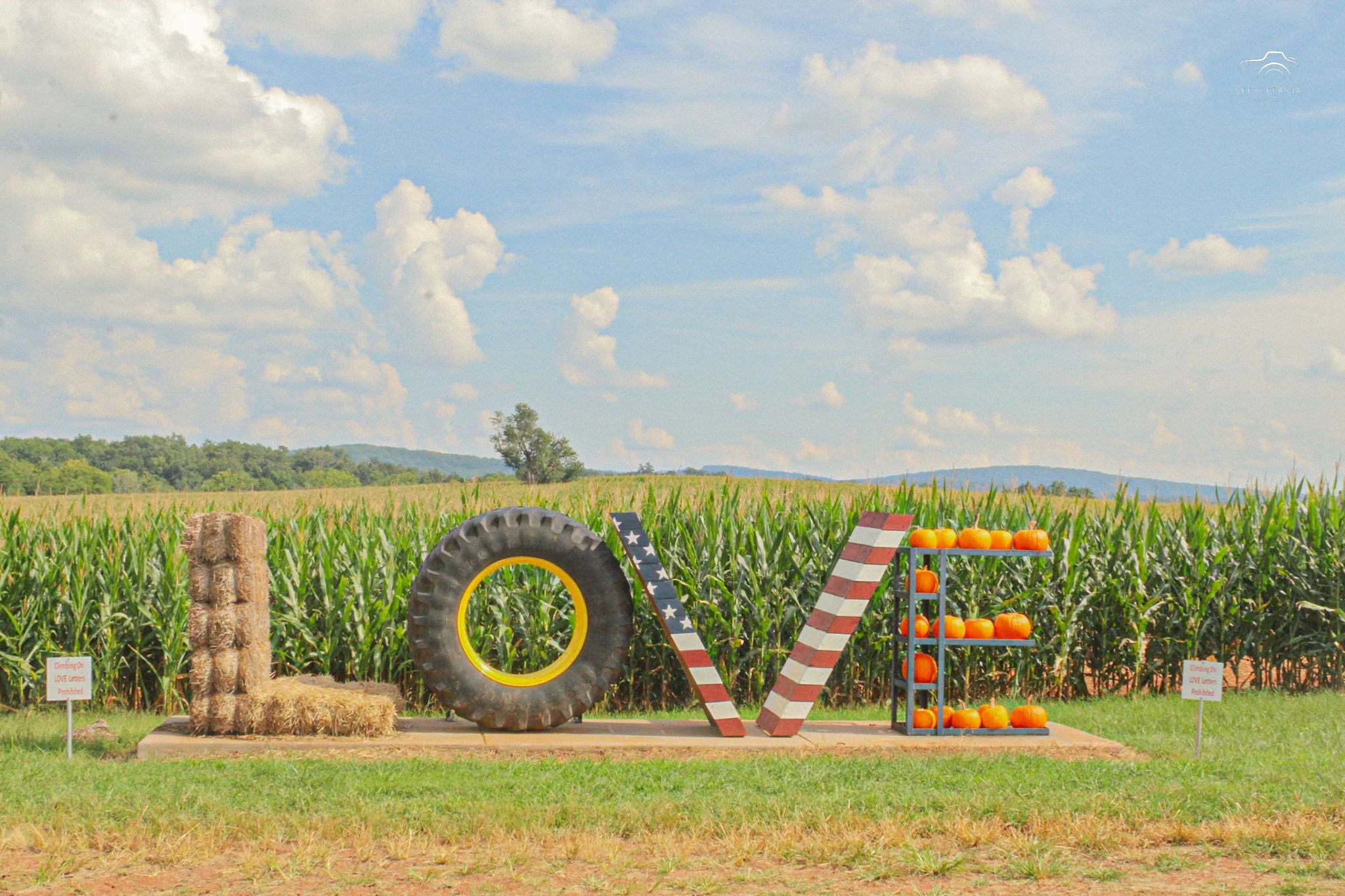 Liberty Mills Farm Somerset, VA