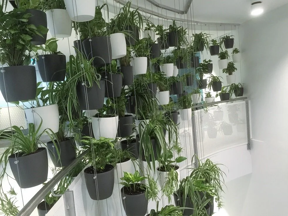  … turn sterile spaces into attractive environments … 