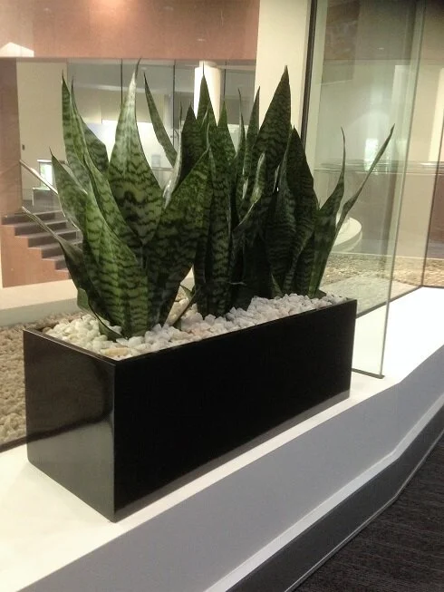  designed to suit all spaces and designs. 