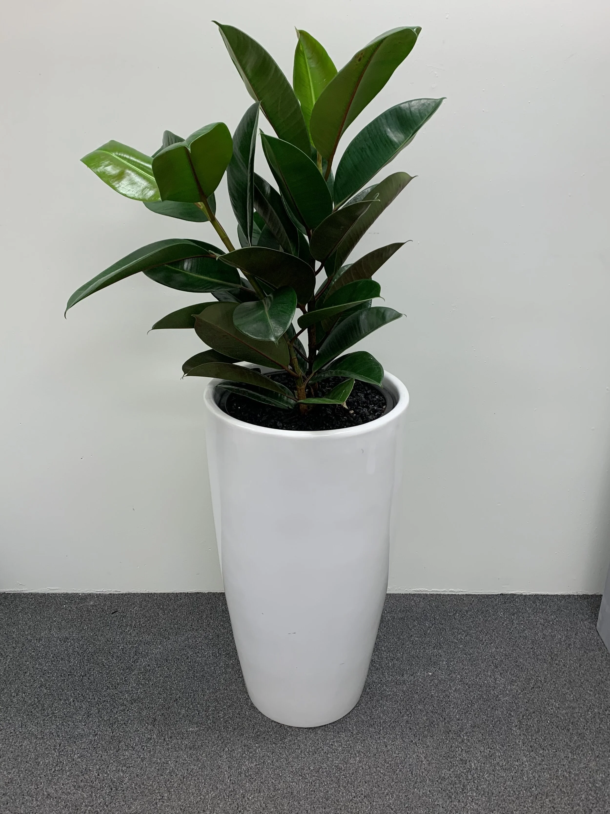  to us there is no “one size fits all”  