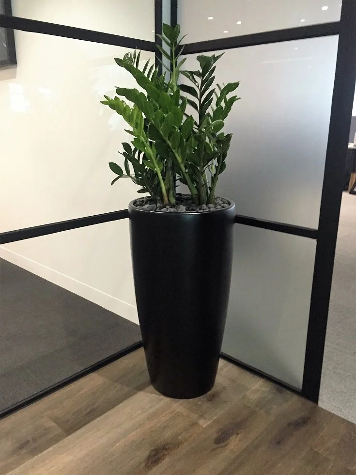  … enable us to tailor beautiful outcomes …  